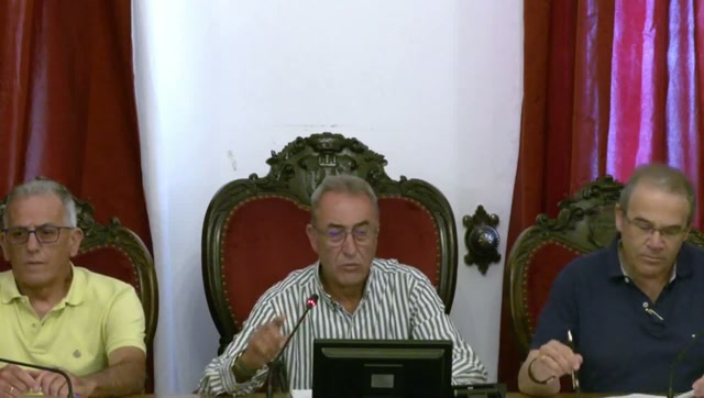 poster Pleno extraordinario 15 de junio de 2026